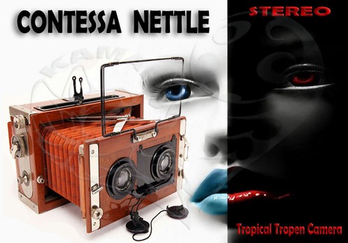 Contessa nettel - contessa,
