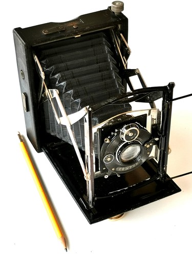 C1919 contessa nettel - c1919,